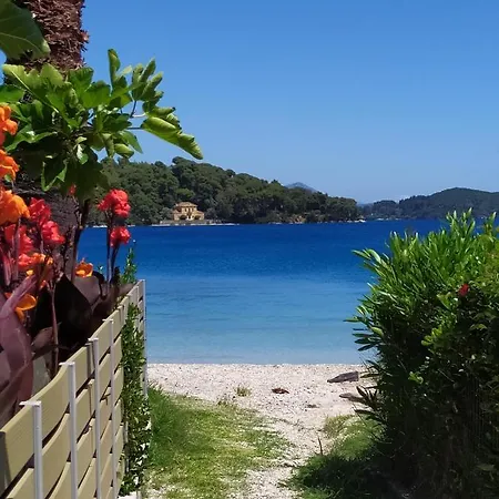 Arktos Apartman