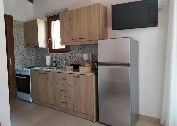 Apartament Arktos *