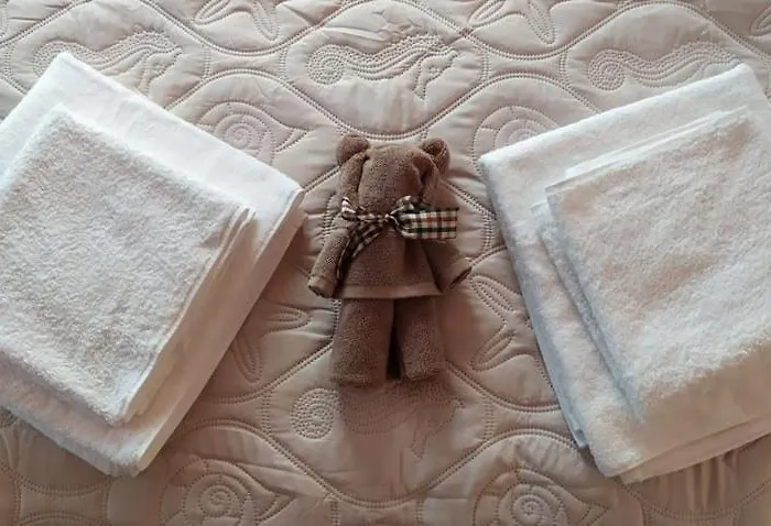 Apartament Arktos